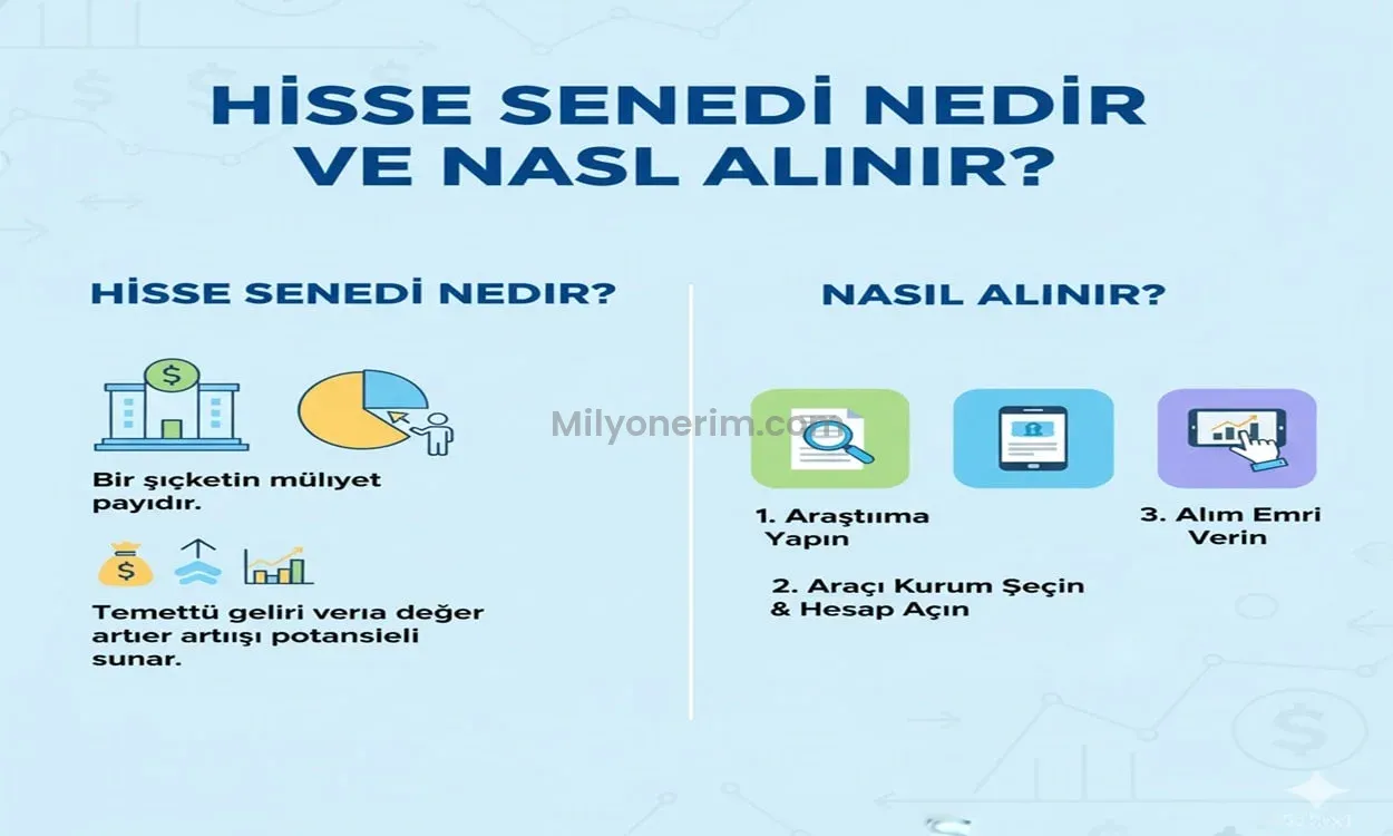 Hisse Senedi Nedir ve Nasıl Alınır