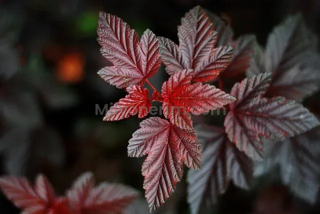 KOSGEB Girişimcilik Sınav Soruları 2025: Çıkmış Sorular ve Cevapları