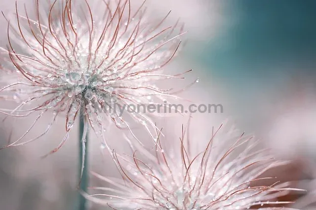 KOSGEB Girişimcilik Sınav Soruları 2025: Çıkmış Sorular ve Cevapları