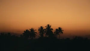 Tokat İŞKUR Güncel İş İlanları: Resmi ve Sigortalı İş Başvuruları Nasıl Yapılır?