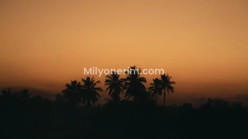 Tokat İŞKUR Güncel İş İlanları: Resmi ve Sigortalı İş Başvuruları Nasıl Yapılır? 1 Tokat İŞKUR Güncel İş İlanları: Resmi ve Sigortalı İş Başvuruları Nasıl Yapılır?