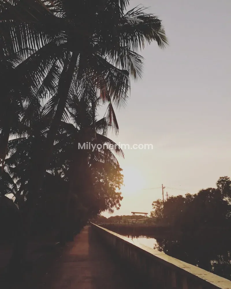 Tokat İŞKUR Güncel İş İlanları: Resmi ve Sigortalı İş Başvuruları Nasıl Yapılır? Tokat İŞKUR Güncel İş İlanları: Resmi ve Sigortalı İş Başvuruları Nasıl Yapılır?