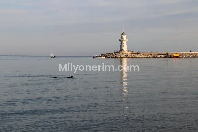 Alanya Belediyesi iş ilanları
