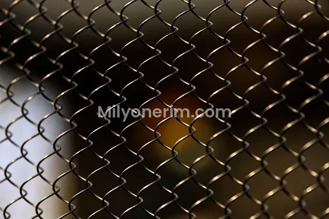 Borsa ile Para Kazanma: Yeni Başlayanlar İçin Adım Adım 2025 Rehberi