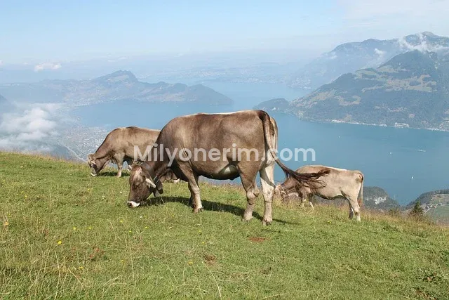 Borsada Hızlı Para Kazanma Yöntemleri: 2026’da Geçerli 7 Etkili Strateji