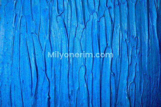 Dolar Yatırımı ile Para Kazanma 2026: Başlangıç Rehberi ve 5 Akıllı Strateji