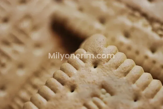 E-Ticaret ile Para Kazanma: 2025’de Sıfırdan Online Mağaza Kurma Rehberi