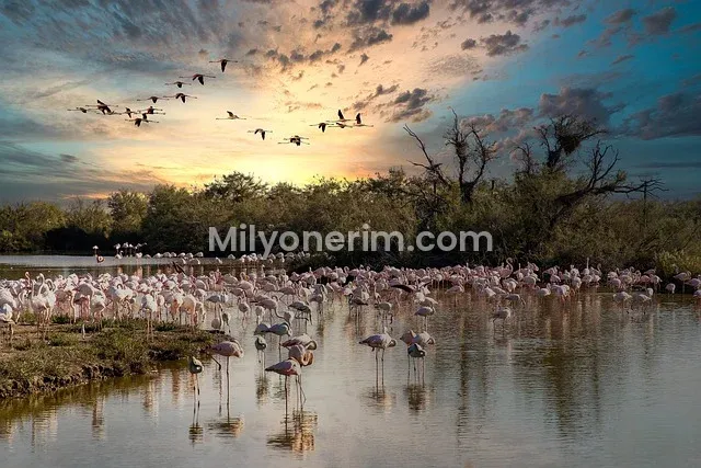 Metin2’de Gerçek Para Kazanma 2026: Riskler, Yöntemler ve Yasal Uyarılar