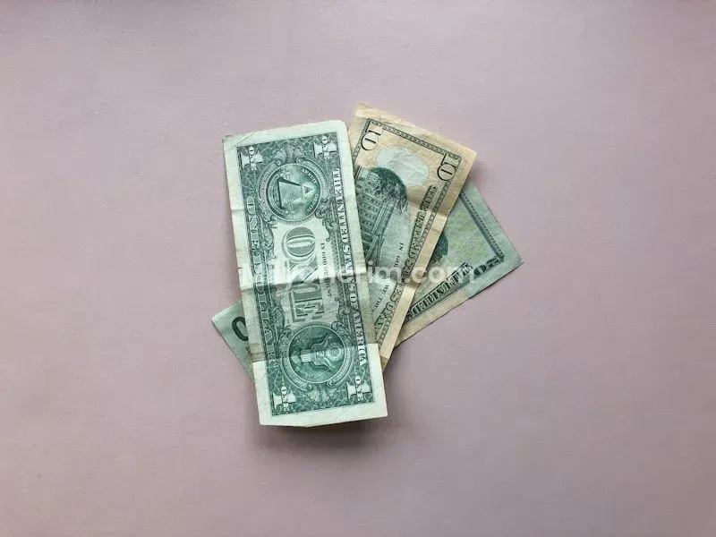 Para ile Para kazanmak