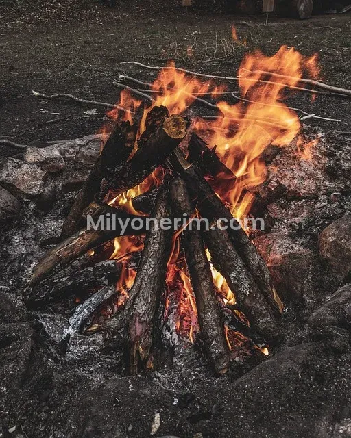 Soyo Uygulaması Para Kazanma