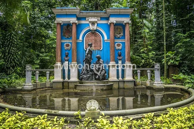 Soyo Uygulaması Para Kazanma