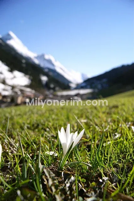 Tarım ve Orman Bakanlığı Personel Alımları